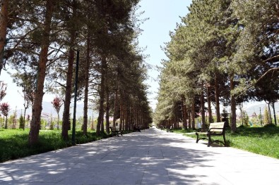 Muş'taki Mesire Alanı Ve Parklar Yaza Hazır