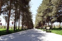 AHMEDI HANI - Muş'taki Mesire Alanı Ve Parklar Yaza Hazır