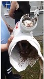 KARGıPıNARı - Su Borusuna Sıkışan Yavru Kedi İtfaiye Ekiplerince Kurtarıldı