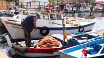 GıRGıR - Taze Balık, Küçük Tekne Balıkçılarından
