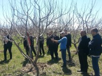 İŞBİRLİĞİ PROTOKOLÜ - Van'da Çiftçi Eğitim Kursları