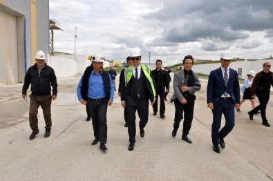 Aşkale'deki Maden Şirketi 30 Milyon Dolarlık İhracat Hedefliyor