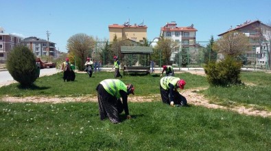 Beyşehir'in Park Ve Bahçeleri Kadınlara Emanet