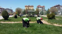 BAHAR TEMİZLİĞİ - Beyşehir'in Park Ve Bahçeleri Kadınlara Emanet