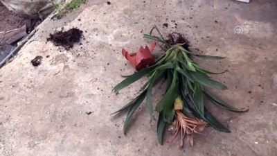 Cesedi Su Kanalına Atmaya Çalışırken Yakalandıkları İddiası