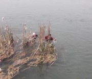 Fırat Nehri'nde ölüm kalım savaşı!