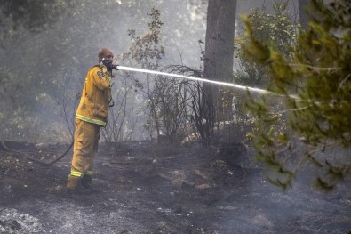 İsrail'de Yangın Nedeniyle Yüzlerce Kişi Tahliye Edildi