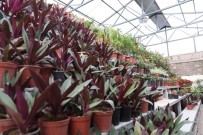 SONBAHAR - Yeşil Alan Miktarıyla Rekor Kıran Kocasinan'da Parklar Rengarenk