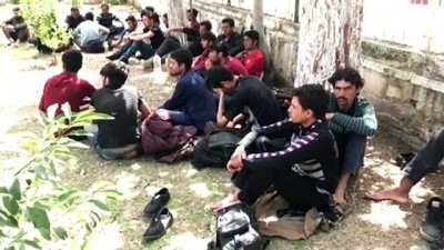 Adana'da 57 Düzensiz Göçmen Yakalandı