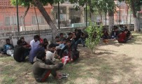 İNSAN TİCARETİ - Adana'da 57 Kaçak Göçmen Yakalandı