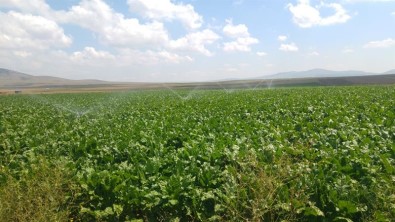 Bireysel Sulama Sistemlerine Yüzde 50 Hibe Desteği