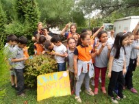 ÇOCUK OYUNLARI - Dersler Dışarıda İşlendi