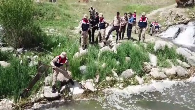 Jandarma Ve Polis İnci Kefali İçin Seferber Oldu