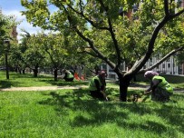 NOSTALJI - Nostalji Bahçelerine Çocukları Gibi Bakıyorlar