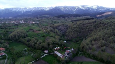 (ÖZEL) Uludağ'ın Kar Sularında Yetişen Alabalıklar İftar Sofrasını Süslüyor