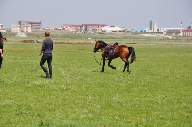 Kars'ta, At Yarışları Yapıldı