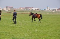 AT YARIŞI - Kars'ta, At Yarışları Yapıldı