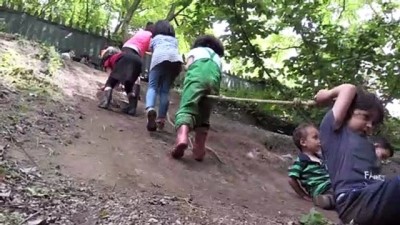 Minikler Eğitime İlk Adımı 'Orman Okulu'nda Atıyor