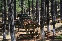 TERMAL TURİZM - Muratdağı Termal Turizm Merkezi'nde Bakım Ve Onarım Çalışmaları