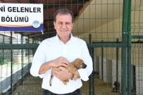 MACIT ÖZCAN - Seçer Açıklaması 'Hayvaseverlerle Ortak Projelere İmza Atacağız'