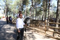 DEVE KUŞU - Kahramanmaraş'ta Mini Hayvanat Parkı