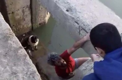 (Özel) Su Kanalına Düşen Köpek Kurtarıldı