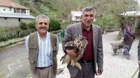 MEHMET PARLAK - Yaralı Puhu Kuşu Yetkililere Teslim Edildi
