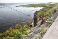 BEYŞEHIR GÖLÜ - Beyşehir Gölü Kıyılarında Olta Avcılarının Meskeni Oldu