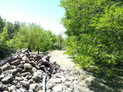 Dut Bahçelerinde Hazırlık Zamanı