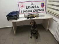 Enginar Vakumlar Gibi Uyuşturucuyu Vakumlamışlar