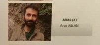 Giresun'da Yakalanan PKK'lı Aras Aslan Tutuklandı Haberi