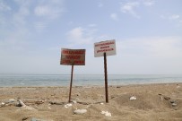 CARETTA CARETTA - 100. Yıl Tabiat Parkı'nda Yapılması Planlanan Festival İptal Edildi