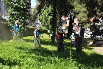 Altınordu'da Bahar Temizliği