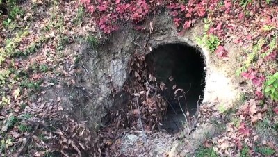 Bartın'da 20 Metrelik 'Define Tüneli' Bulundu