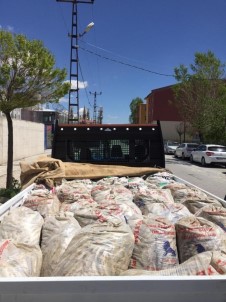 Çaldıran'da 5 Ton 625 Kilo İnci Kefali Ele Geçirildi