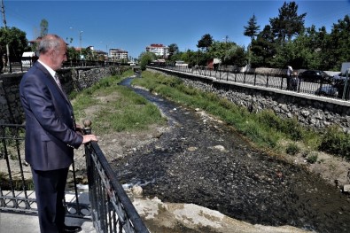 İnci Kefali Balığını Koruma Çalışmaları