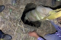 KEÇİ - Kuyuya Düşen Keçiyi İtfaiye Kurtardı