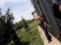 SOSYAL TESİS - Lojman Bahçesindeki Yılan Paniği