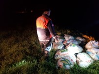 Muradiye'de 500 Metre Manyat Ağ İle 5 Ton Balık Ele Geçirildi