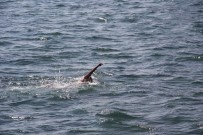 ÖLÜM OYUNU - Sıcaklarda Baraj, Gölet Ve Sulama Kanallarında Boğulma Oranı Artıyor