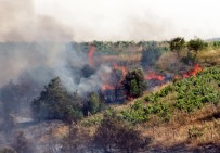 Turgutlu'da 15 Dönüm Tarım Arazisi Küle Döndü