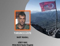 TİLLO - Turuncu kategorideki terörist etkisiz hale getirildi