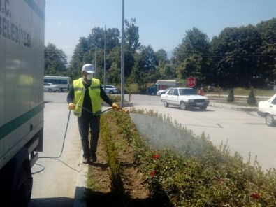 Vatandaş İsteyecek Belediye Yapacak