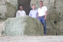 BAHREYN - Aksaray'da Yurt Dışına Yonca İhracatı Başladı