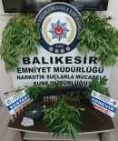 PIYADE - Balıkesir Polisi Uyuşturucu Satıcılarına Göz Açtırmıyor