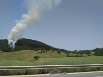 ORMAN YANGINI - Bilecik'te Orman Yangını