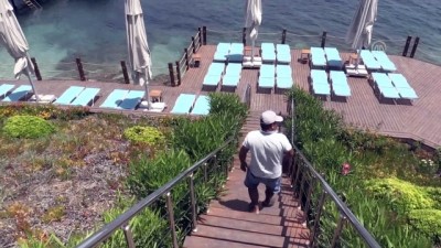 Bodrum'da Sitenin Sahilinde Görülen Fok Balığı İlgi Odağı Oldu