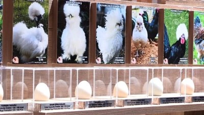 'Dünya Tavukları Ve Yumurta Sergisi' Açıldı