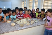 FEN BILGISI - Öğrenciler 70 Milyon Yıllık Fosilleri Dokunarak İnceledi