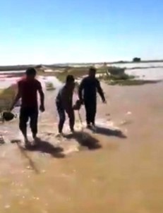 Suruç'ta Sulama Borusu Patladı, Tarlalar Su Altında Kaldı